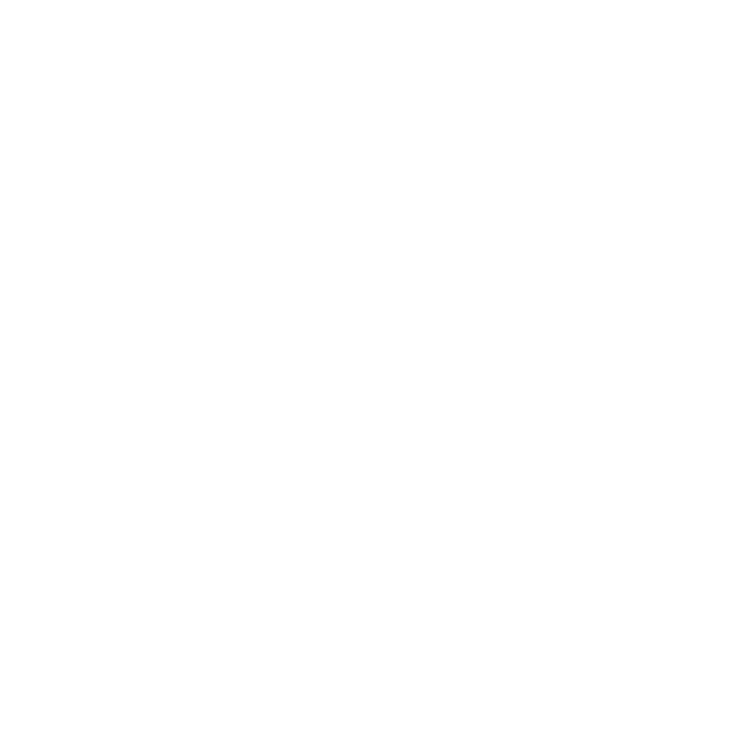 The Lash Pad